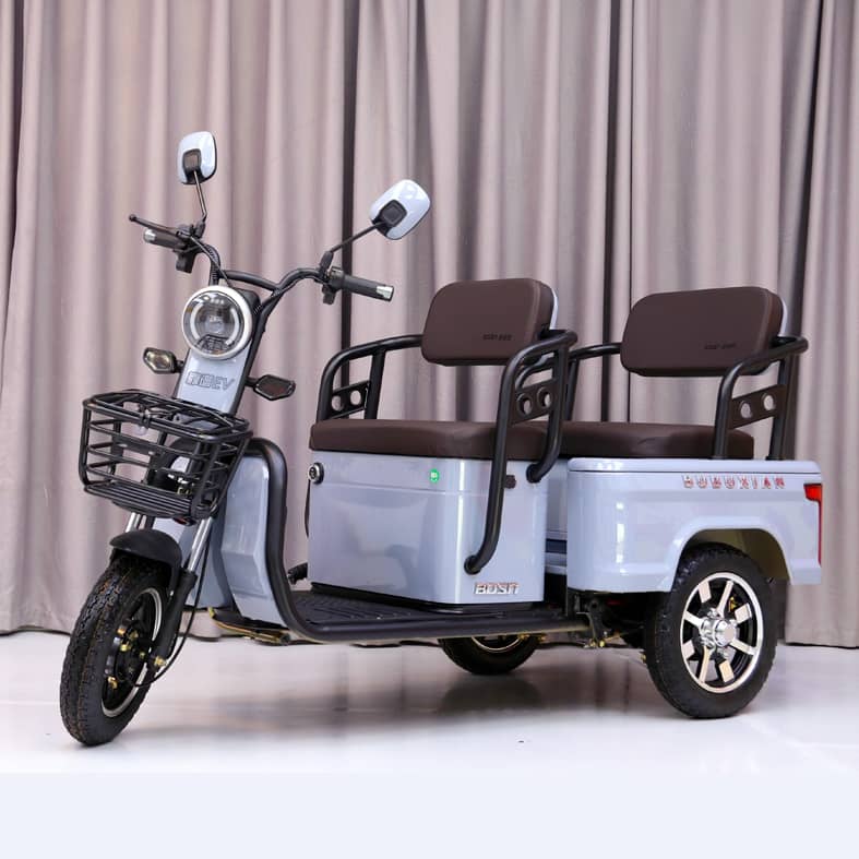 Tricycle pour personnes âgées