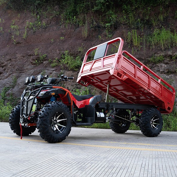 UTV Véhicule tout terrain tout terrain UTV